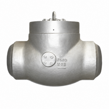 High Pressure Power Plant Lift Check Valve | PN320 ASME B16.34 Butt-Weld End