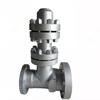 High Pressure Automatic Recirculation Check Valve for Boiler Feed Pump Protection | DN100–250 PN200